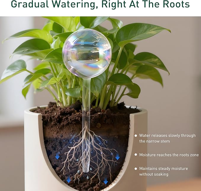 Extra-Thick Clear Glass Plant Watering Globes, Rainbow Gradient Self Watering - Image 7