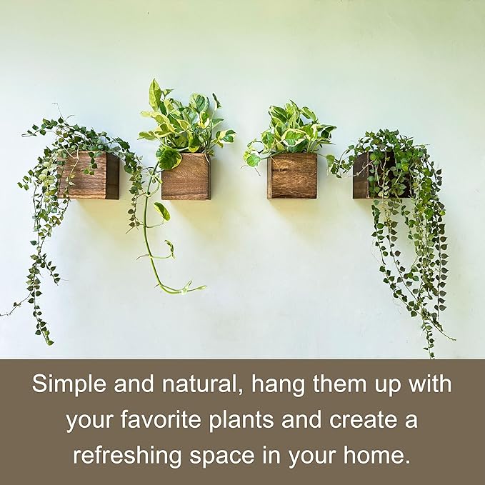 LaLaGreen Wood Planter Boxes for Indoor Plants Small Square Wall Mounted - Image 9