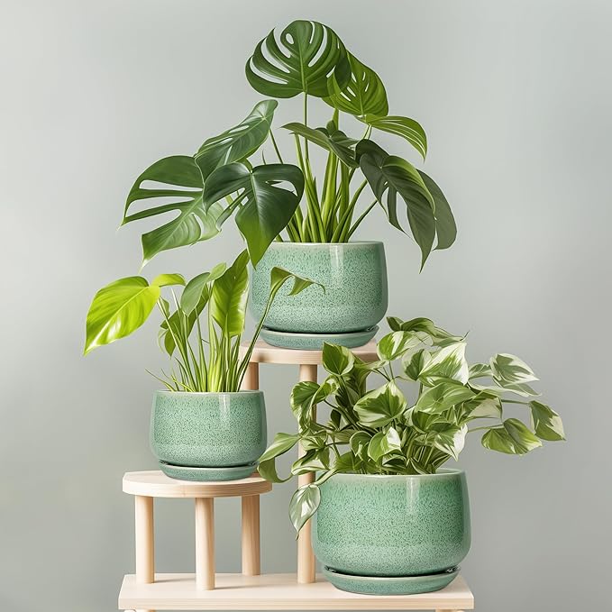 G EPGardening Ceramic Plant Pot - Image 7