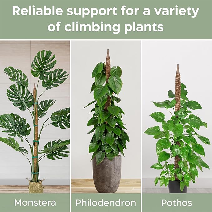 63'' Bendable Moss Pole Monstera Plant Support - Image 4