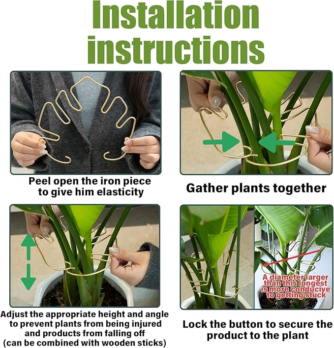 Monstera Stem Support - Image 5