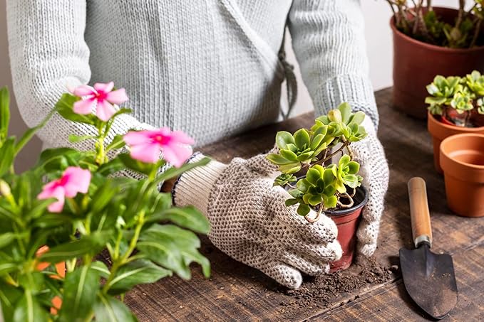 5Pcs Succulent Tools, Mini Garden Tools, Plant Potting Mat as Plant Accessories - Image 7