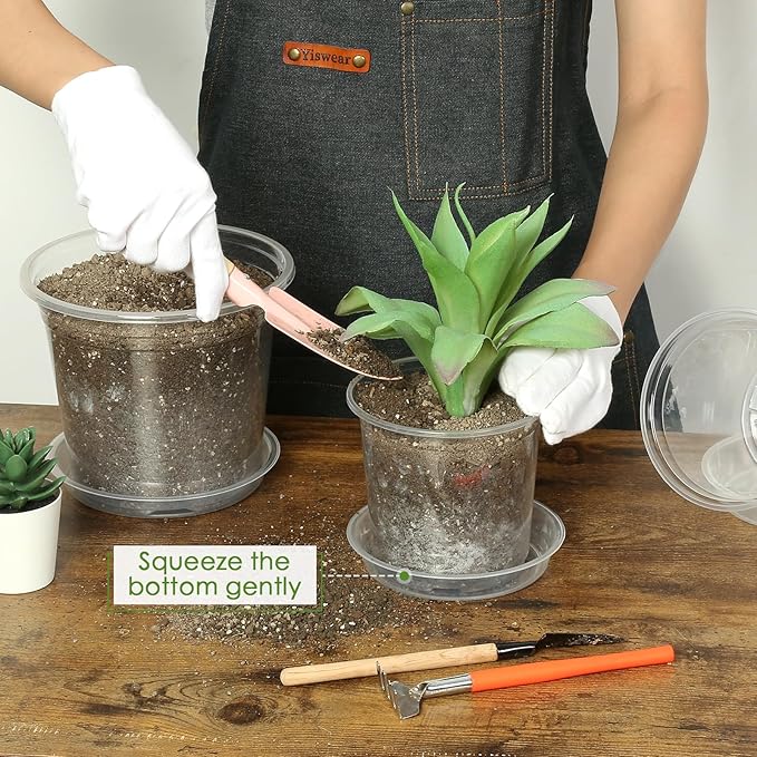 7 Inch Clear Nursery Pots for Plants - Image 4