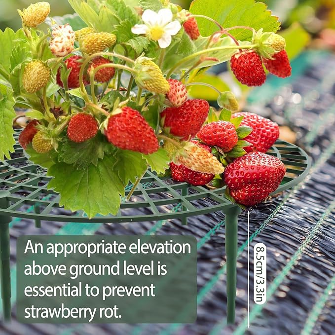 6 Sets Strawberry Plant Support - Image 6