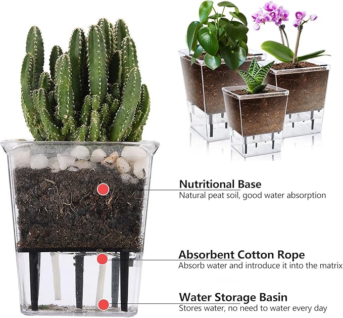 Self Watering Pots Set, 3 Pack 2.7 Inch Pots - Image 4