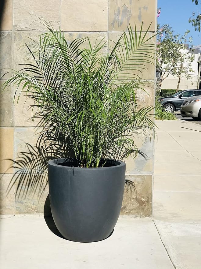 Kante 14 Inch Dia Round Concrete Planter, Indoor Outdoor Large Plant Pot - Image 8