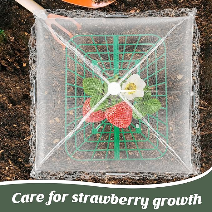4 Sets Strawberry Plant Support - Image 5