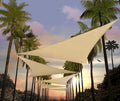 Amgo Custom Size 11' x 11' x 11' Beige Triangle Sun Shade Sail Order to Make by Amgo
