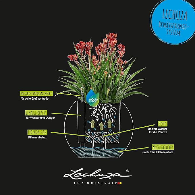 Lechuza Puro Color 20 White, Self-Watering Small Indoor Planter, D7.9 H6.3 in - Image 5