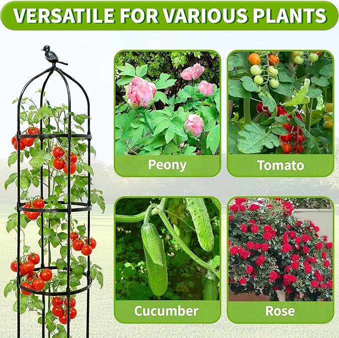 4-Pack 6FT Garden Obelisk Trellis - Image 6