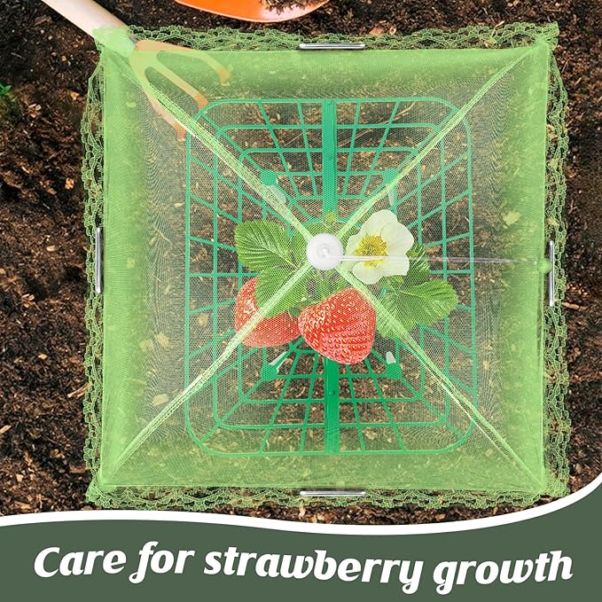 6 Sets Strawberry Plant Support - Image 5