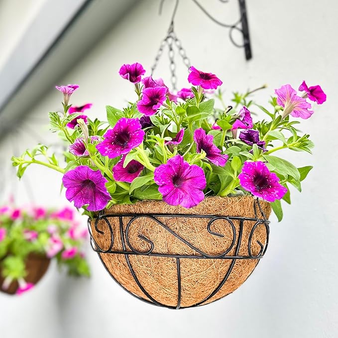LaLaGreen Hanging Planter for Outdoor Plants Black Hanging Baskets by L%C3%A1L%C3%A1Green