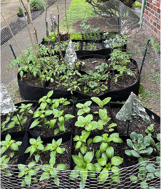 CJGQ Fabric Raised Garden Bed, 128 Gallon 8 Grids Plant Grow Bags, 3x6FT - Image 5