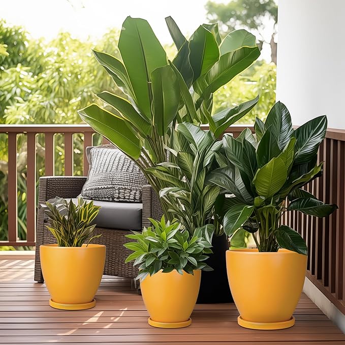 Ceramic Plant Pot - Image 7