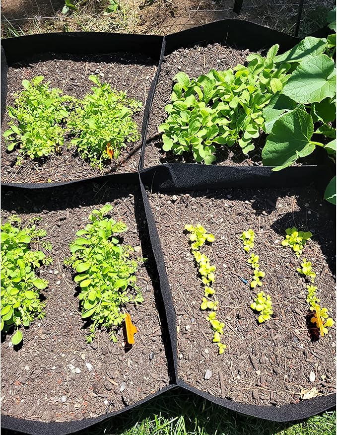 CJGQ 2 Pack Fabric Raised Garden Bed 6x3x1ft Garden Grow Bed Bags - Image 7